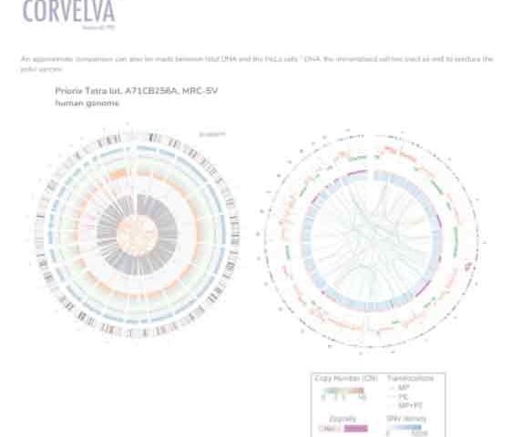 Corvelva links 560 cancer genes to common vaccine ingredient