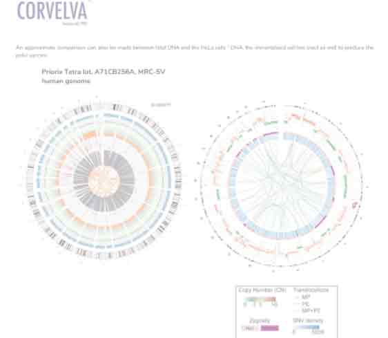 Corvelva links 560 cancer genes to common vaccine ingredient